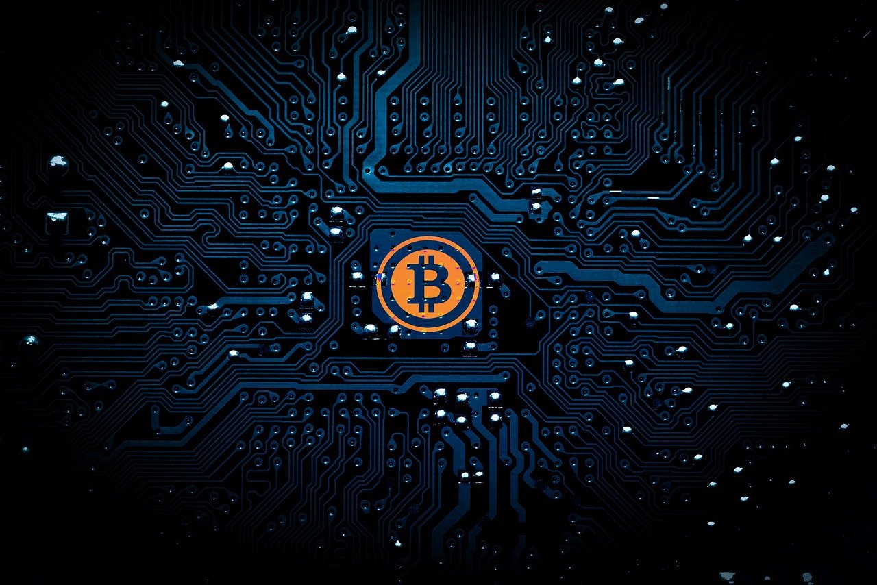 陈天佑，演艺之路的璀璨之星