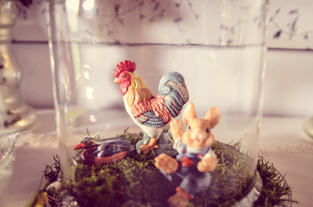 新澳门最精准正最精准：鸡、猪、鸡、兔
