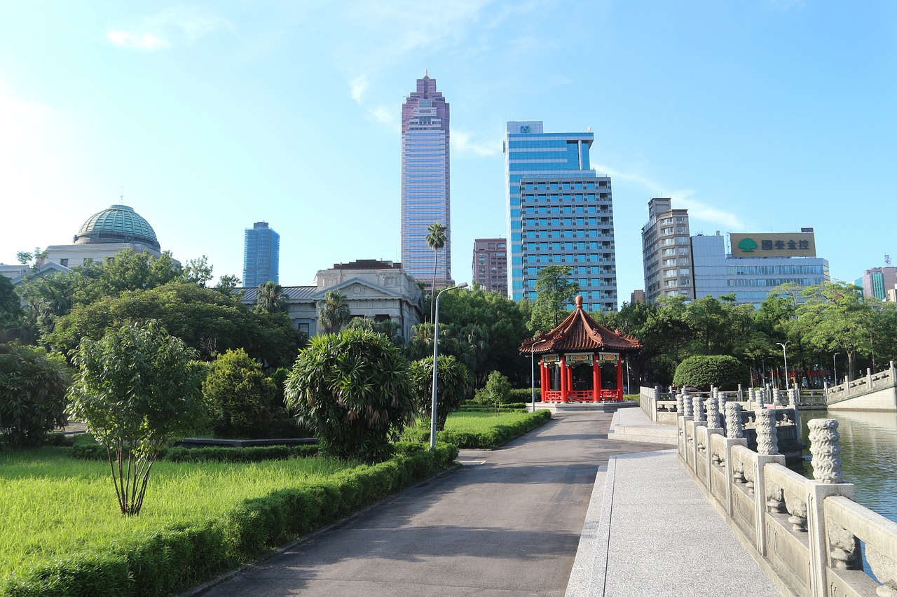 沈阳专车动态资讯，城市出行的新篇章