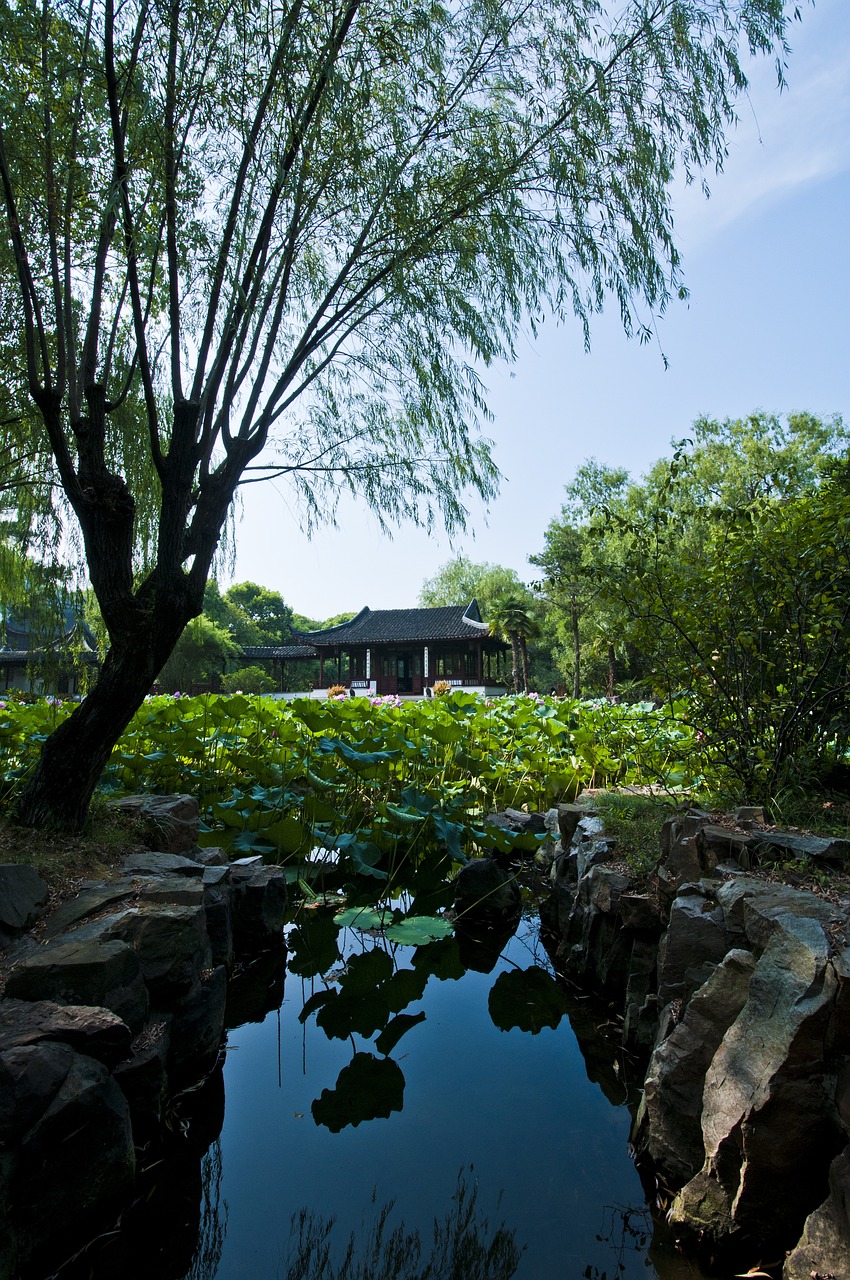 苏州湖畔樾山最新动态揭秘，未来人居典范的崛起之路