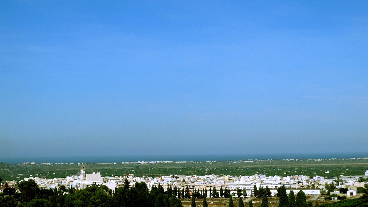 流沙烟草行情网，探索烟草市场动态与趋势