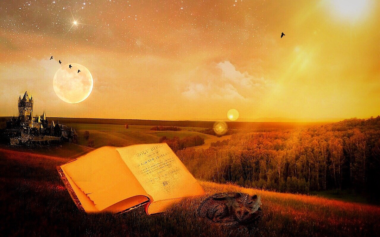探寻梦境中的星光之旅，梦见明星的奥秘与体验