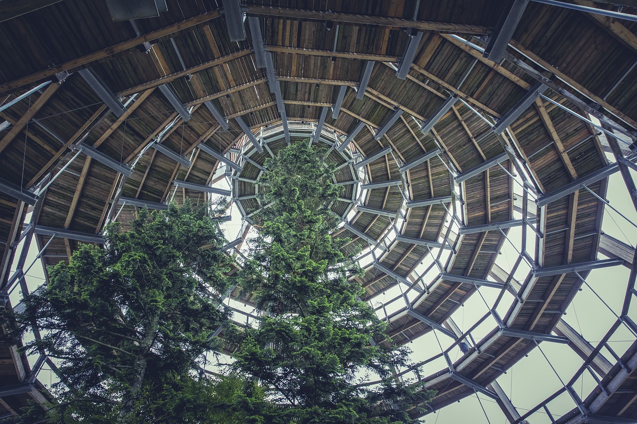 最新蛇笼设计，创新理念与实用性的完美融合