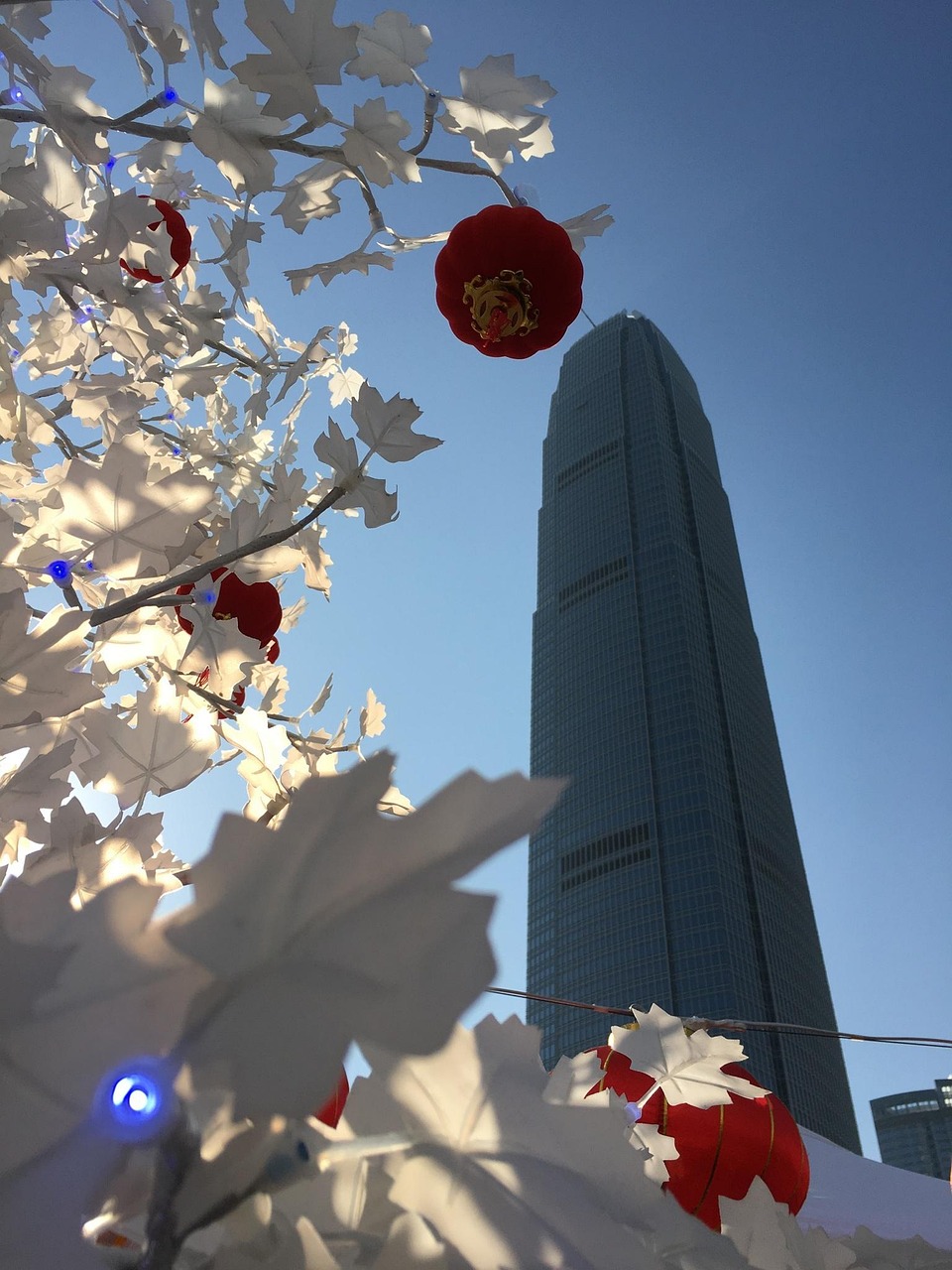 重生续集，再次启程的奇迹之旅新篇章开启