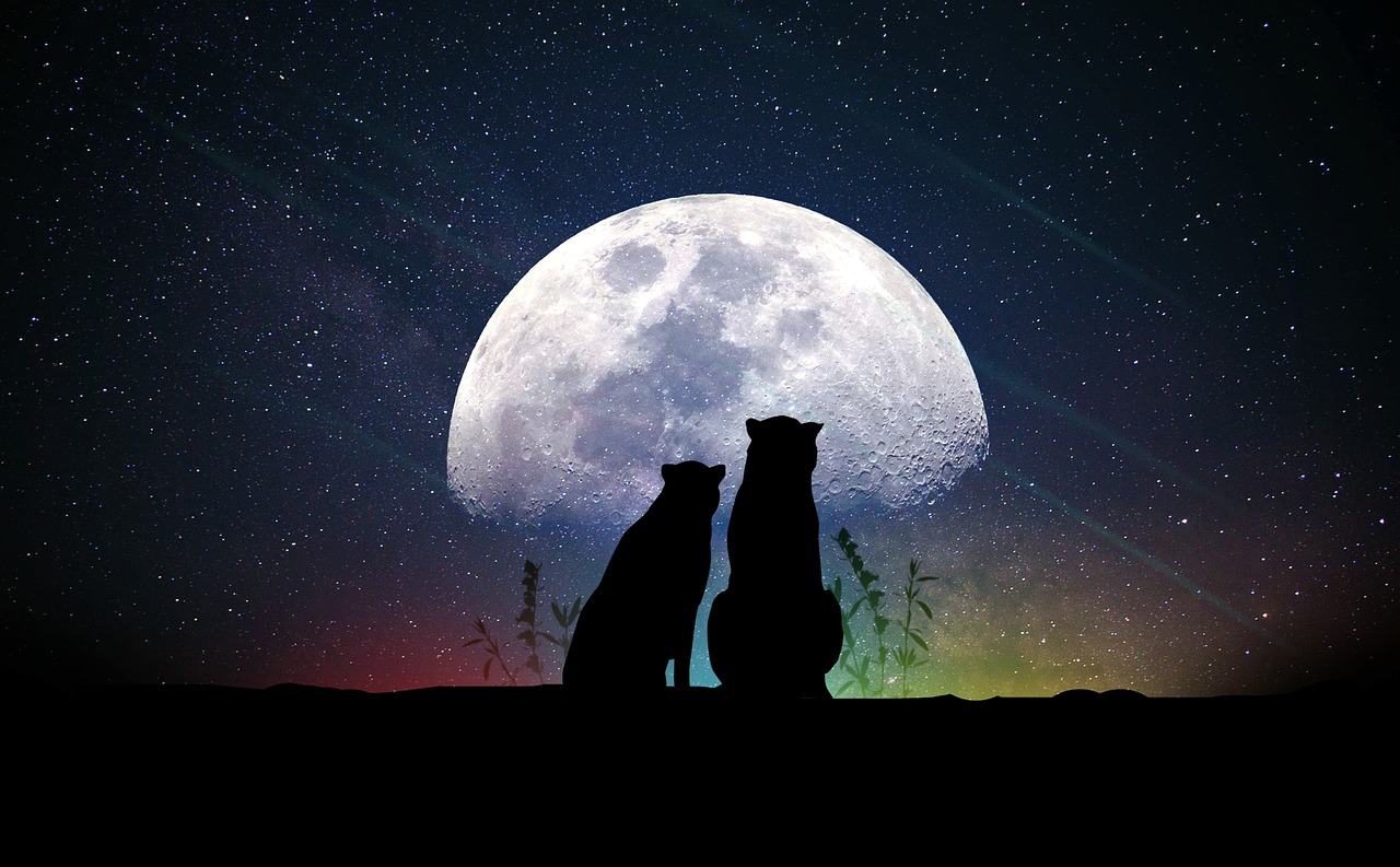 探索明星背后的故事，揭秘他们的全名与光芒之路