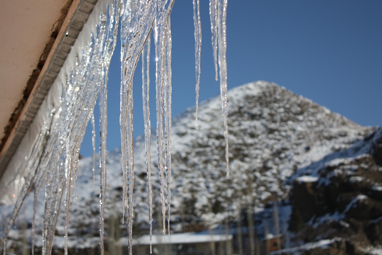 重温经典林海雪原，老版演员表一览