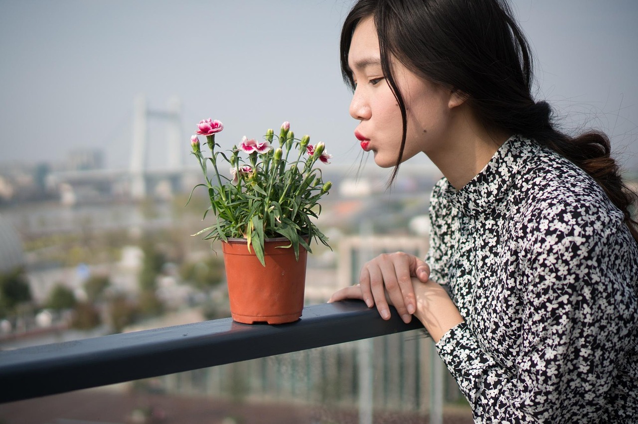 广东女明星，璀璨之星照亮娱乐圈