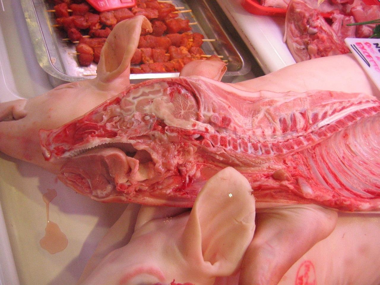 猪肉行情最新分析，市场动态与趋势解读
