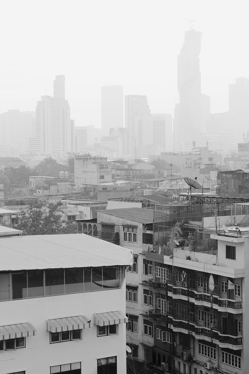上海环境行情，繁荣都市的绿色脉络