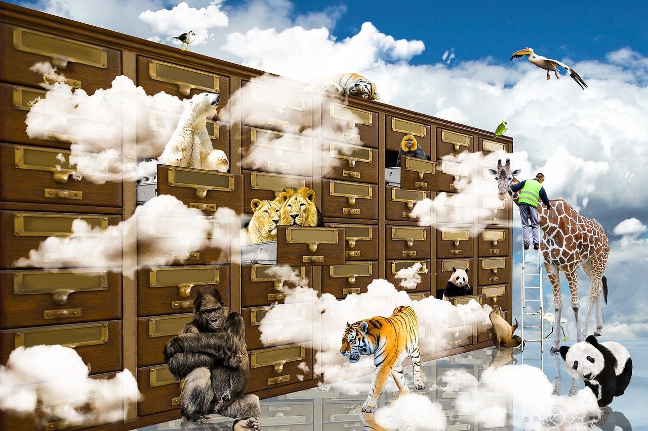 探寻神秘世界的奇幻之旅，东方辰夏紫墨新篇章开启