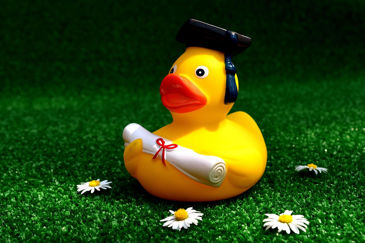 南通光明中学最新资讯概览，学校动态与新闻更新