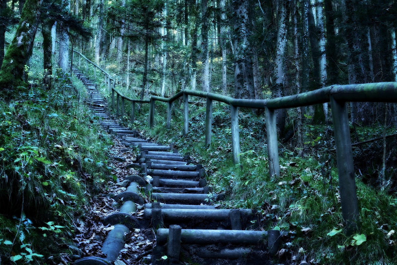 三只松鼠电影，森林到银幕的奇幻之旅