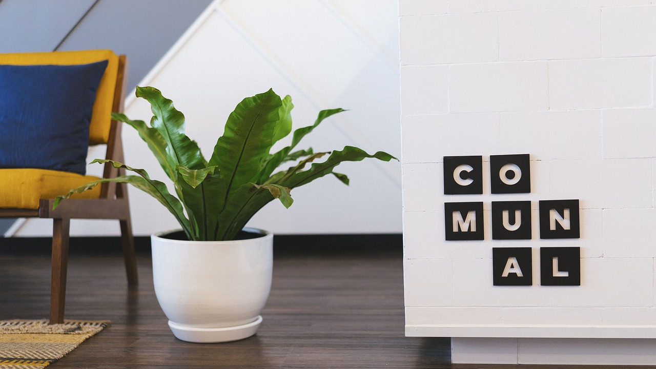 创新设计行李箱,提升生活品质的新标杆