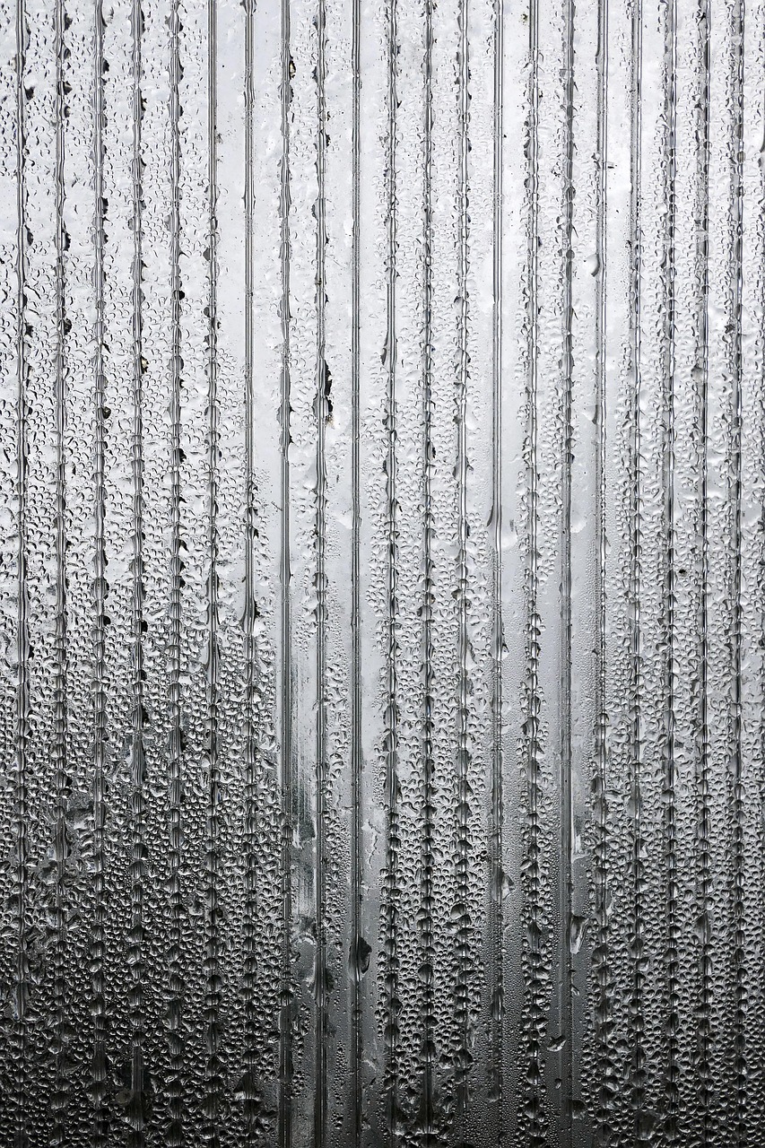 景德镇暴雨最新动态及城市应对极端天气挑战的措施