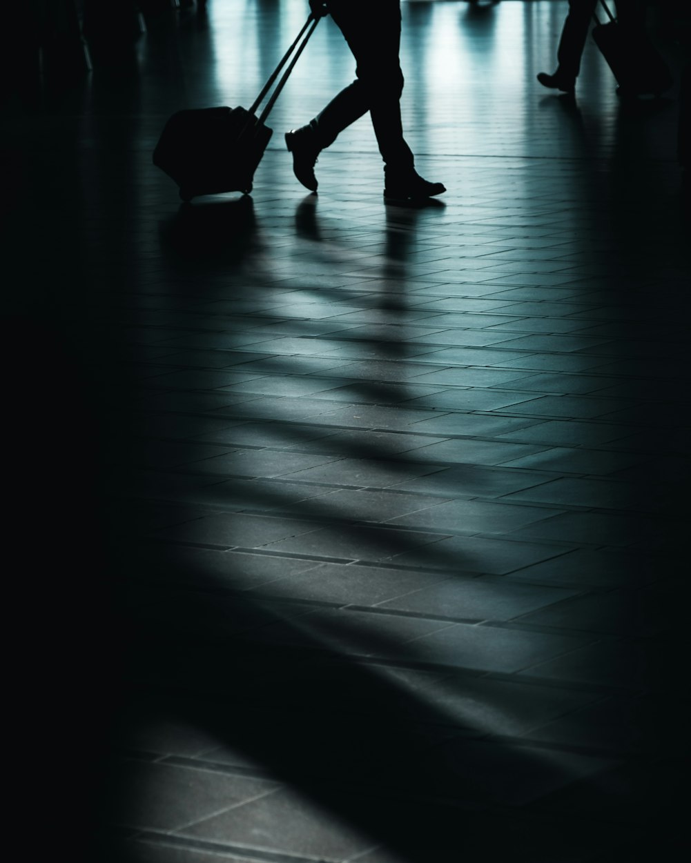 电影一天，影像世界的奇妙探索之旅