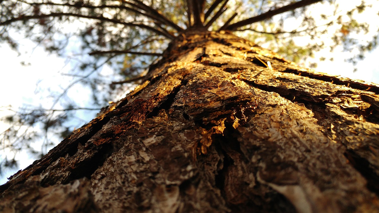 沛县最新疫情动态更新,防控形势持续稳定
