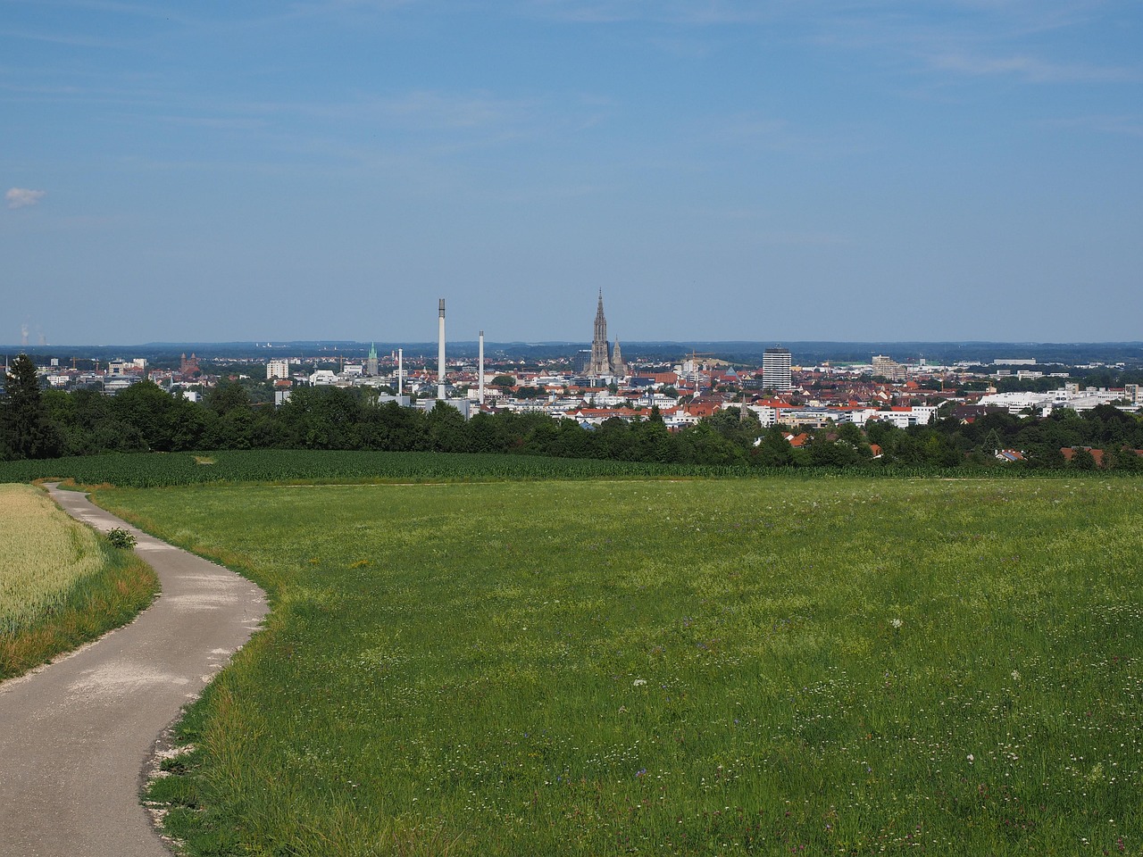 日草君最新动态及未来展望揭秘