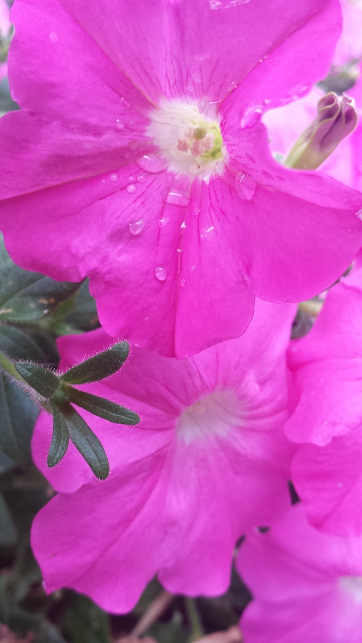 全球疫情最新动态,抗疫形势分析与应对策略探讨