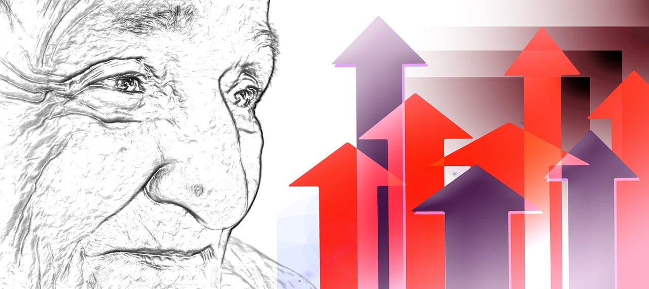 最新老奶奶动态，活力四溢的生活态度与时尚风采展现