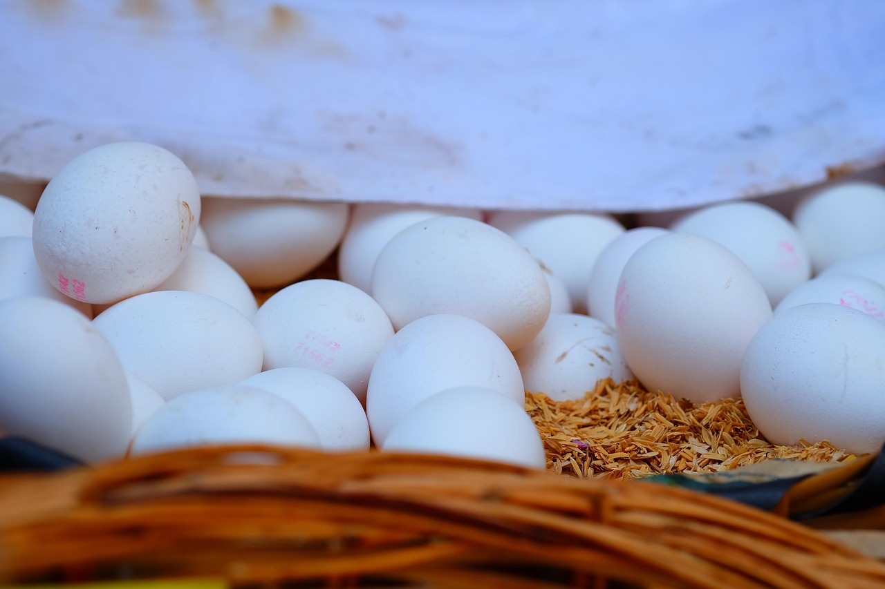 淮南房地产最新动态,市场趋势、政策影响与未来展望