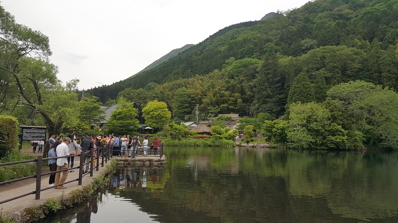 日本旅游教师最新动态，探索与启示之旅