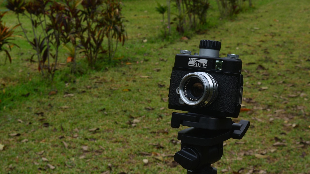 林芳伊最新动态,闪耀之星持续闪耀