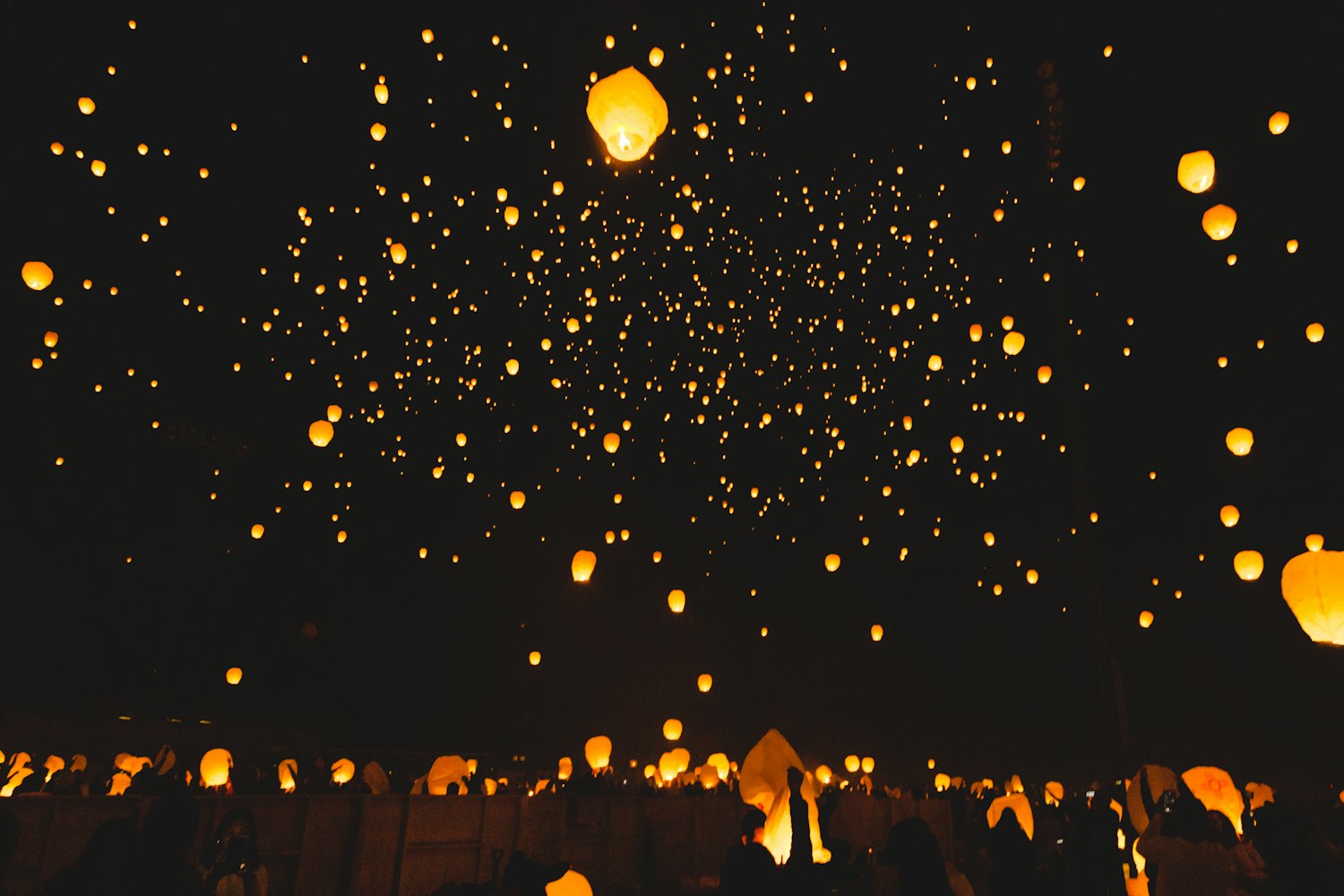 无秘新动态,探索未来无限可能