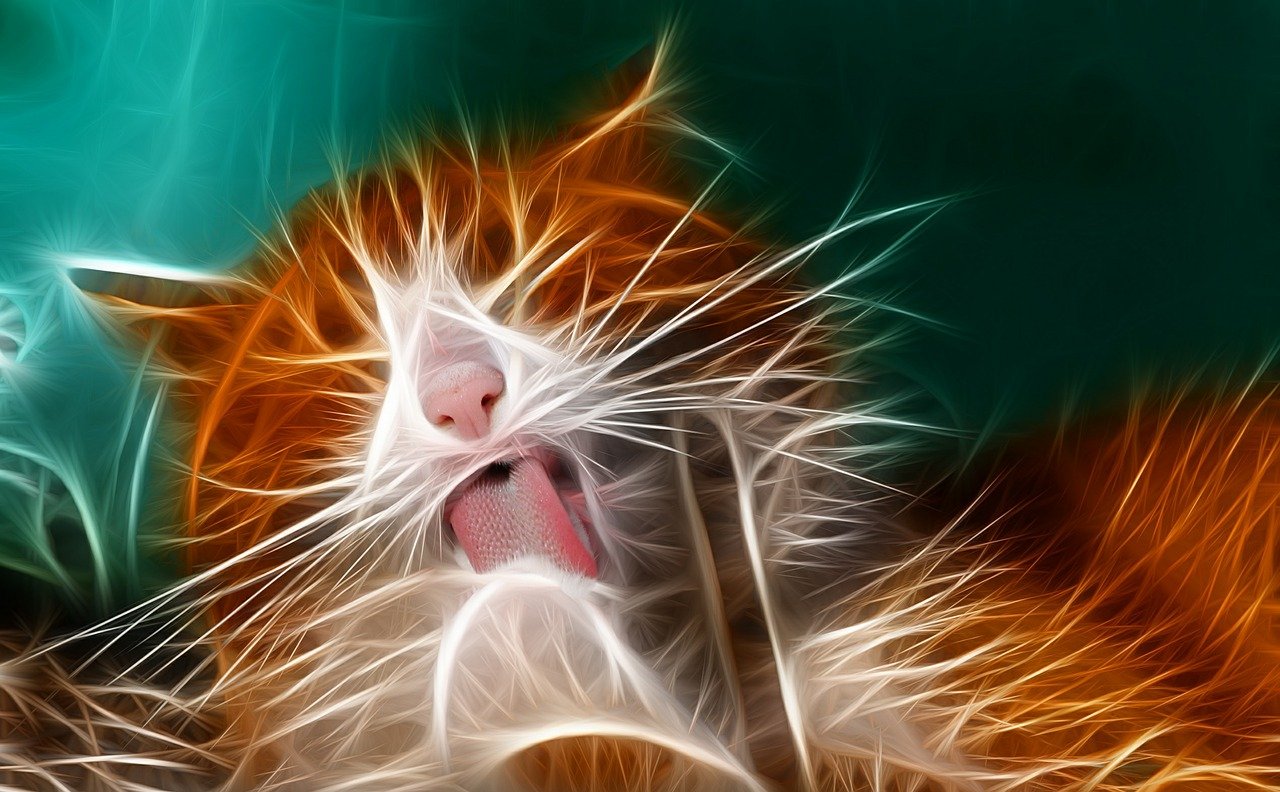 免费港股实时行情软件,掌握股市动态的必备神器