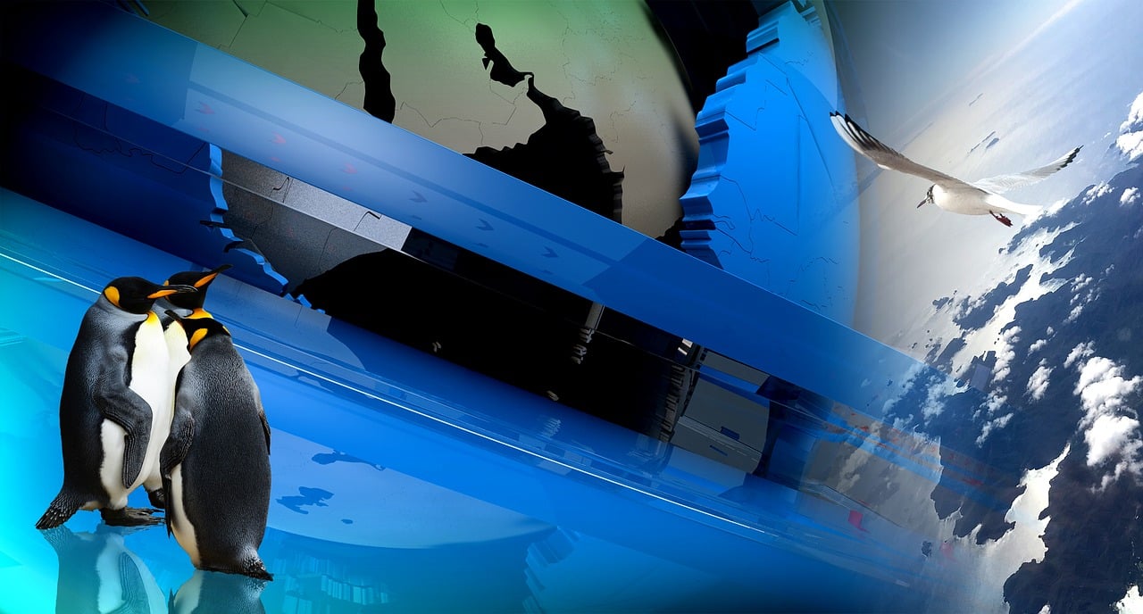 瑞超最新排名,群雄逐鹿,谁将问鼎榜首?