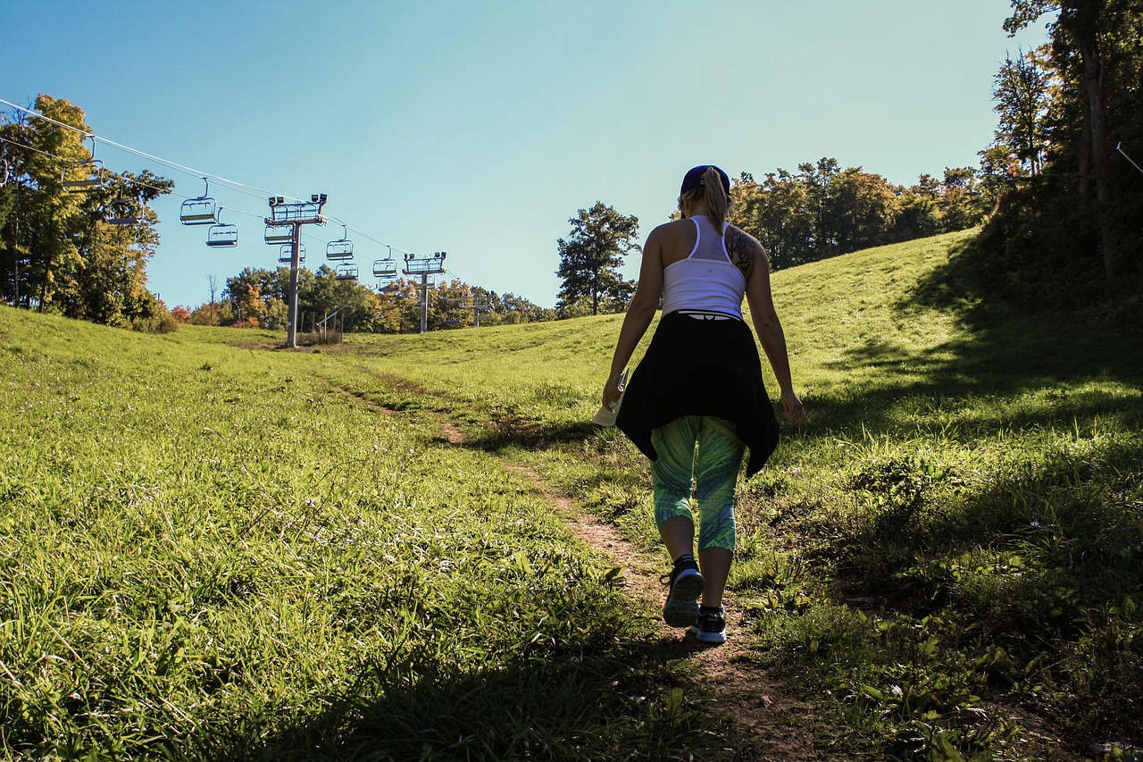 美女高速途中遇困境机智应对,旅途挑战与解决之道