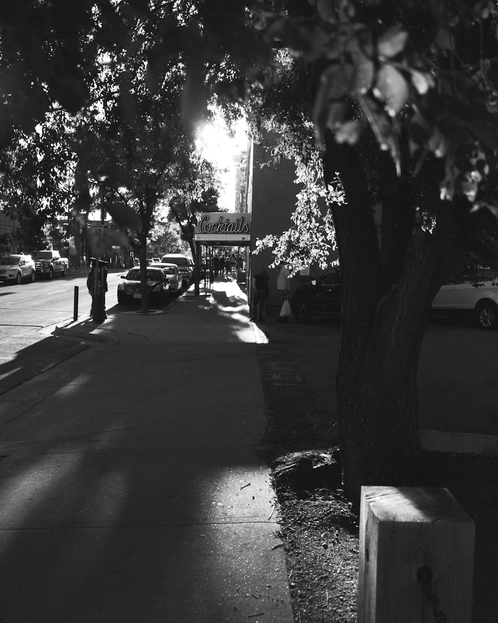 欧美电影A与经典现代的交融之美探索