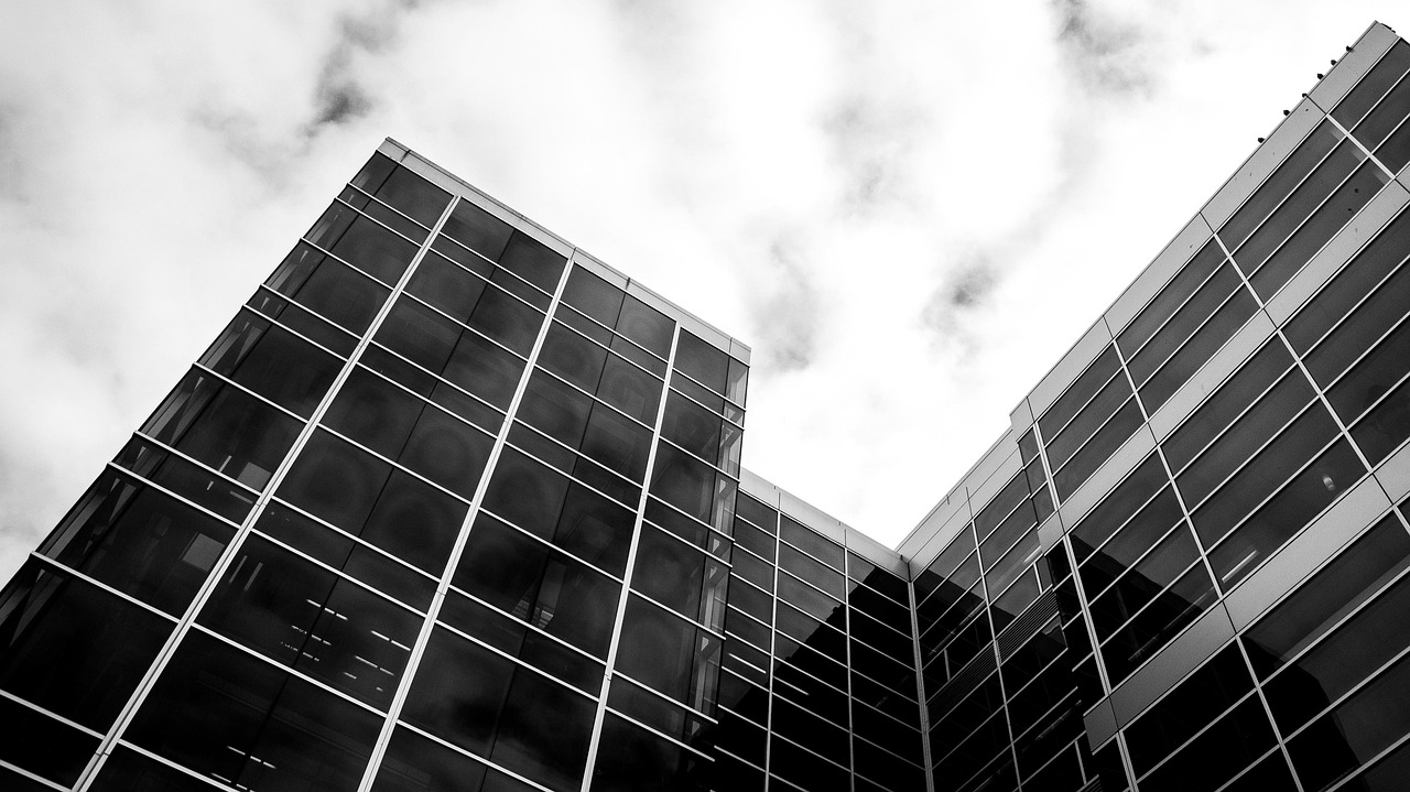 新区热点新闻，城市新动力引领未来发展趋势