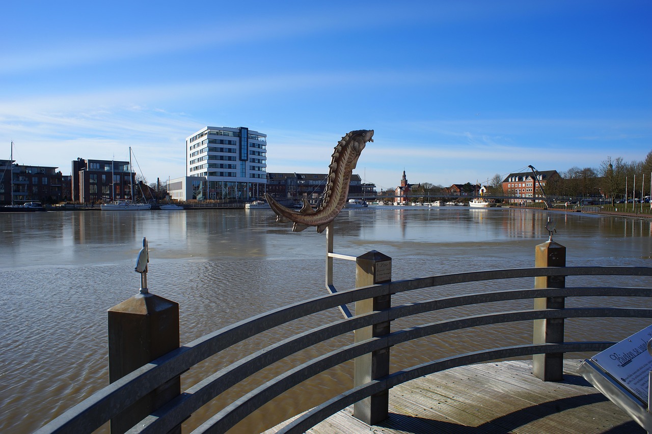 漳州港房产最新价格概览与动态分析