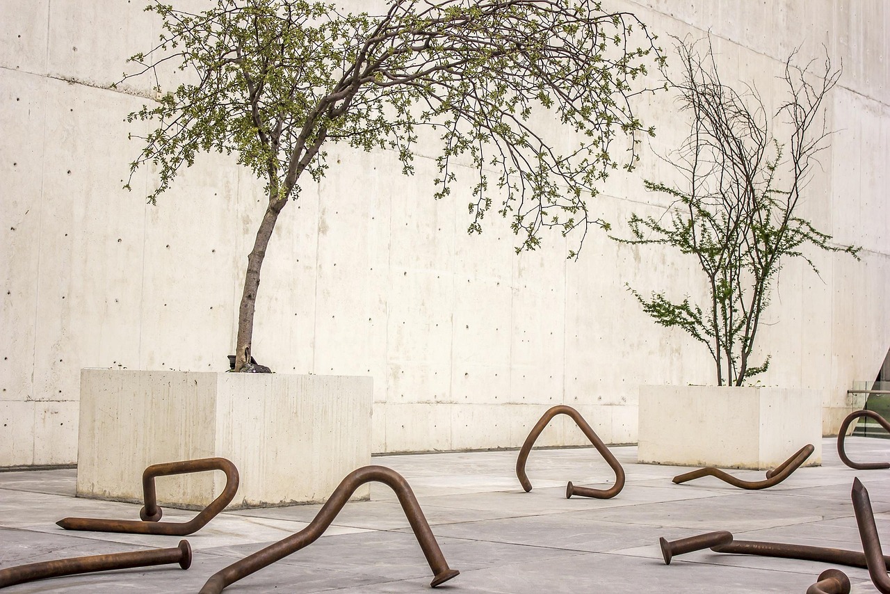 电视视觉艺术探究,创作魅力与视觉表达过程