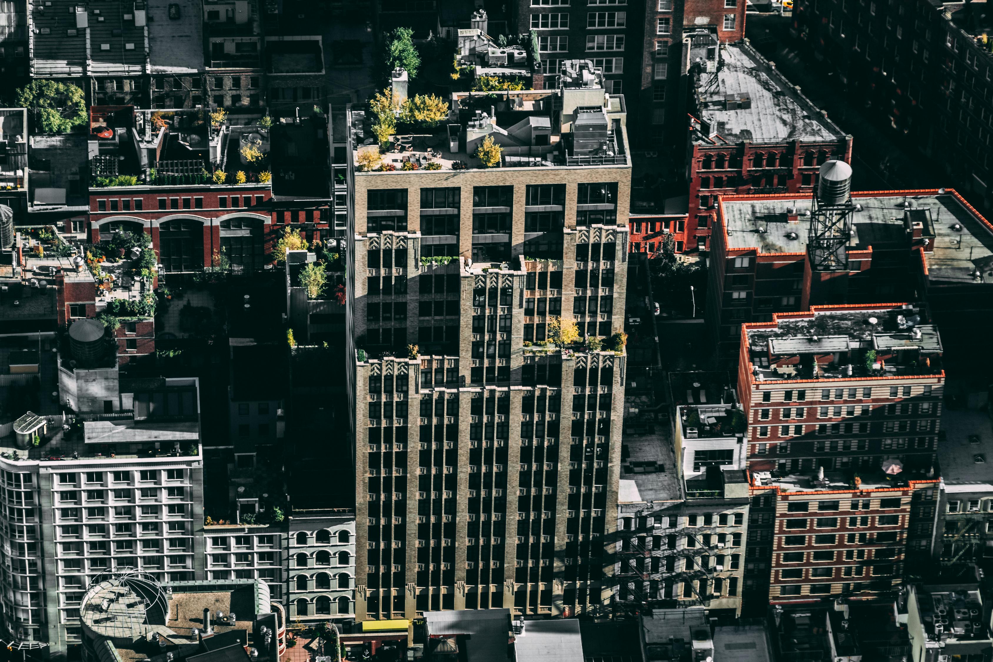 最新拍卖信息公告,市场繁荣与收藏价值的交汇点揭秘