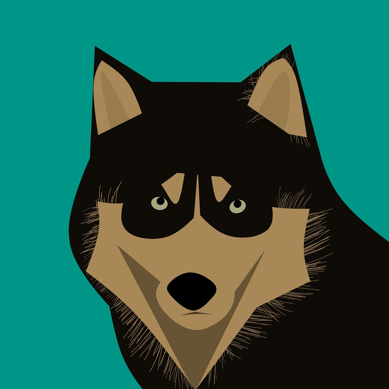 动漫星星眼,探索其魅力与深远影响