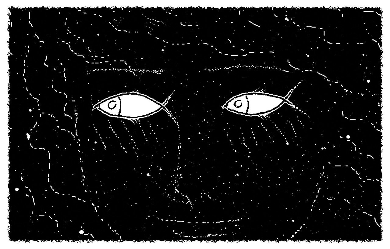 动漫星星眼,探索其魅力与深远影响