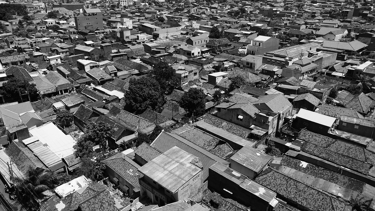 城市发展的双刃剑效应,如何应对焚城动态的挑战与策略