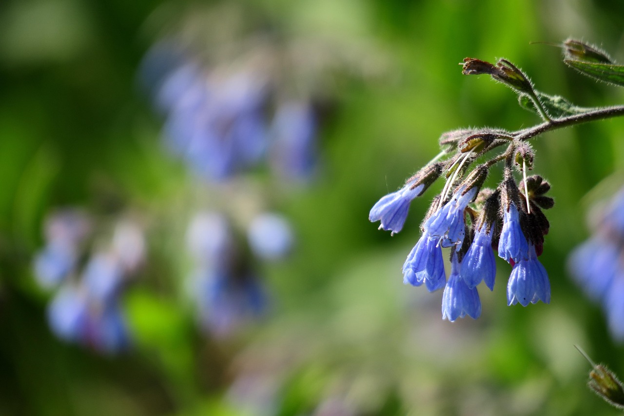 晋中开发区蓬勃发展助力区域经济增长的最新动态