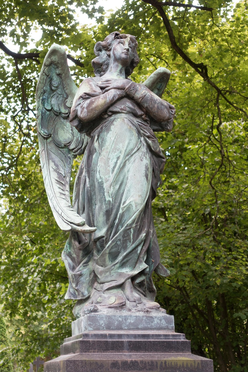 颐和园演员,历史与艺术的交融传承之旅