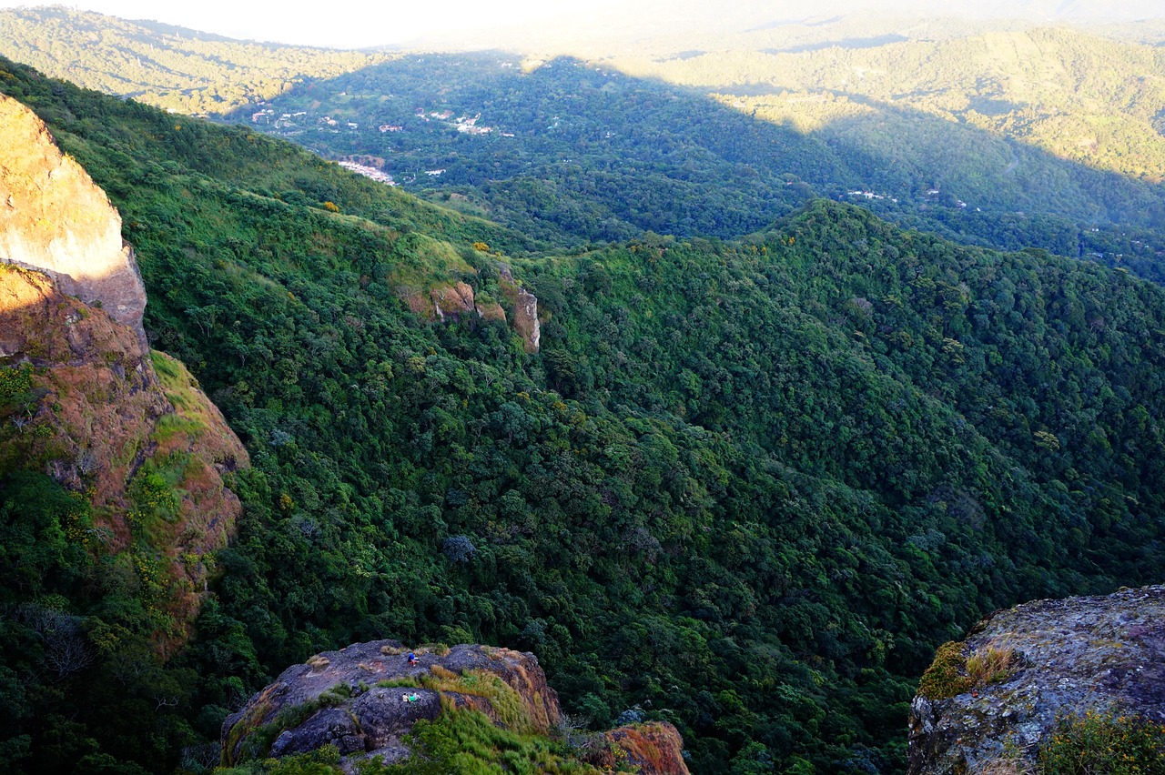 建始县最新疫情动态简报