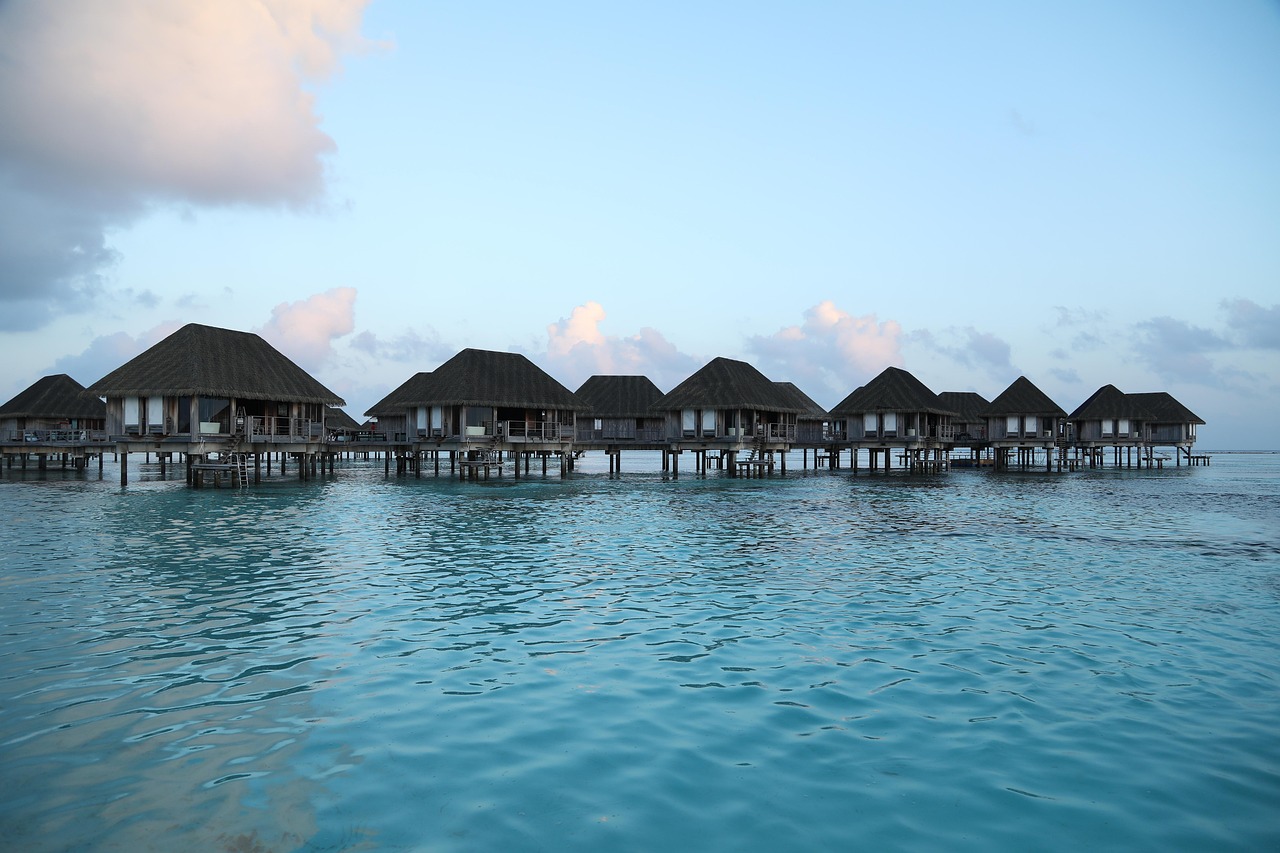 深圳帆船比赛，扬帆起航，海上风采展现