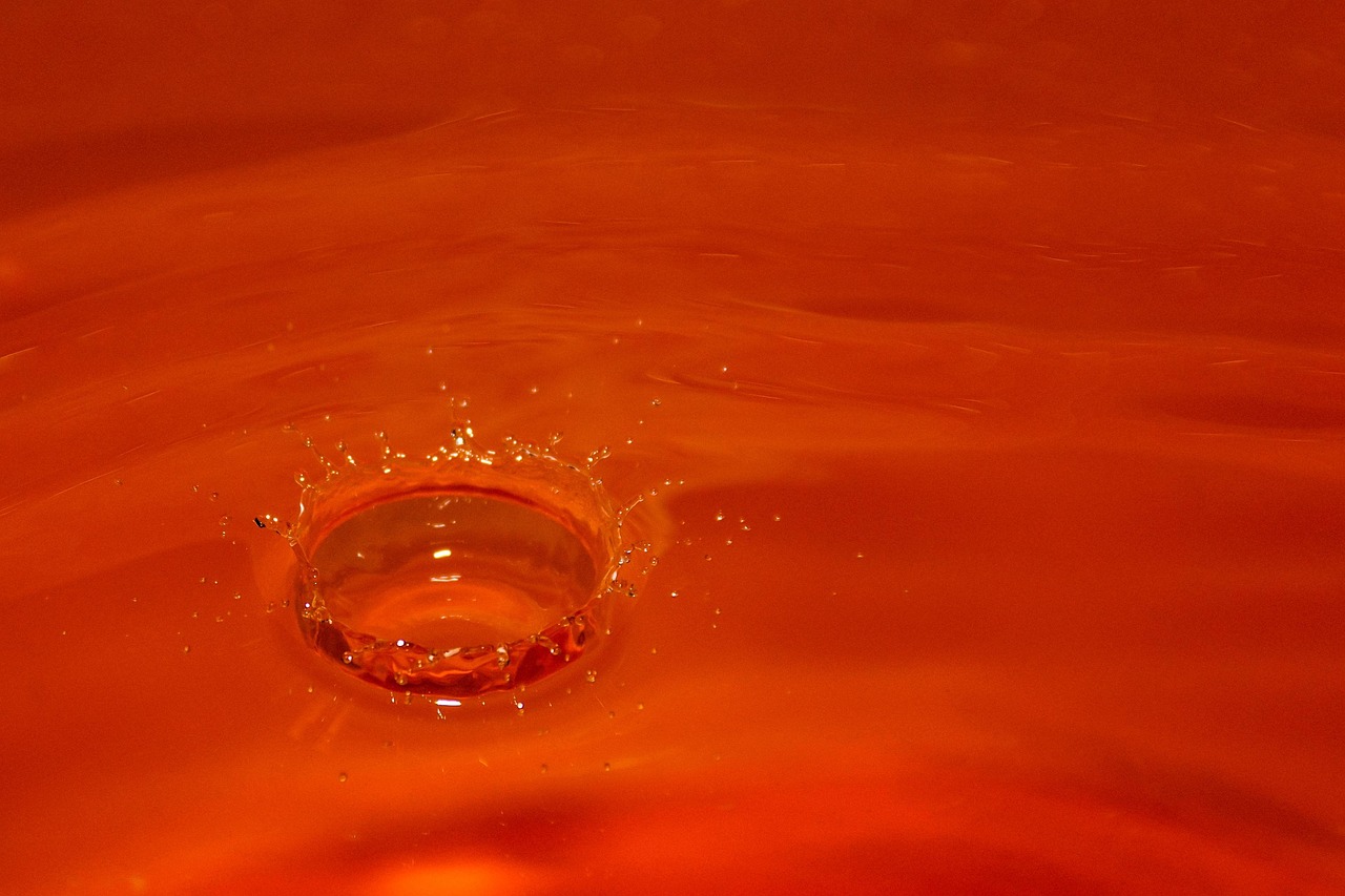 西水股份股票最新动态及分析摘要