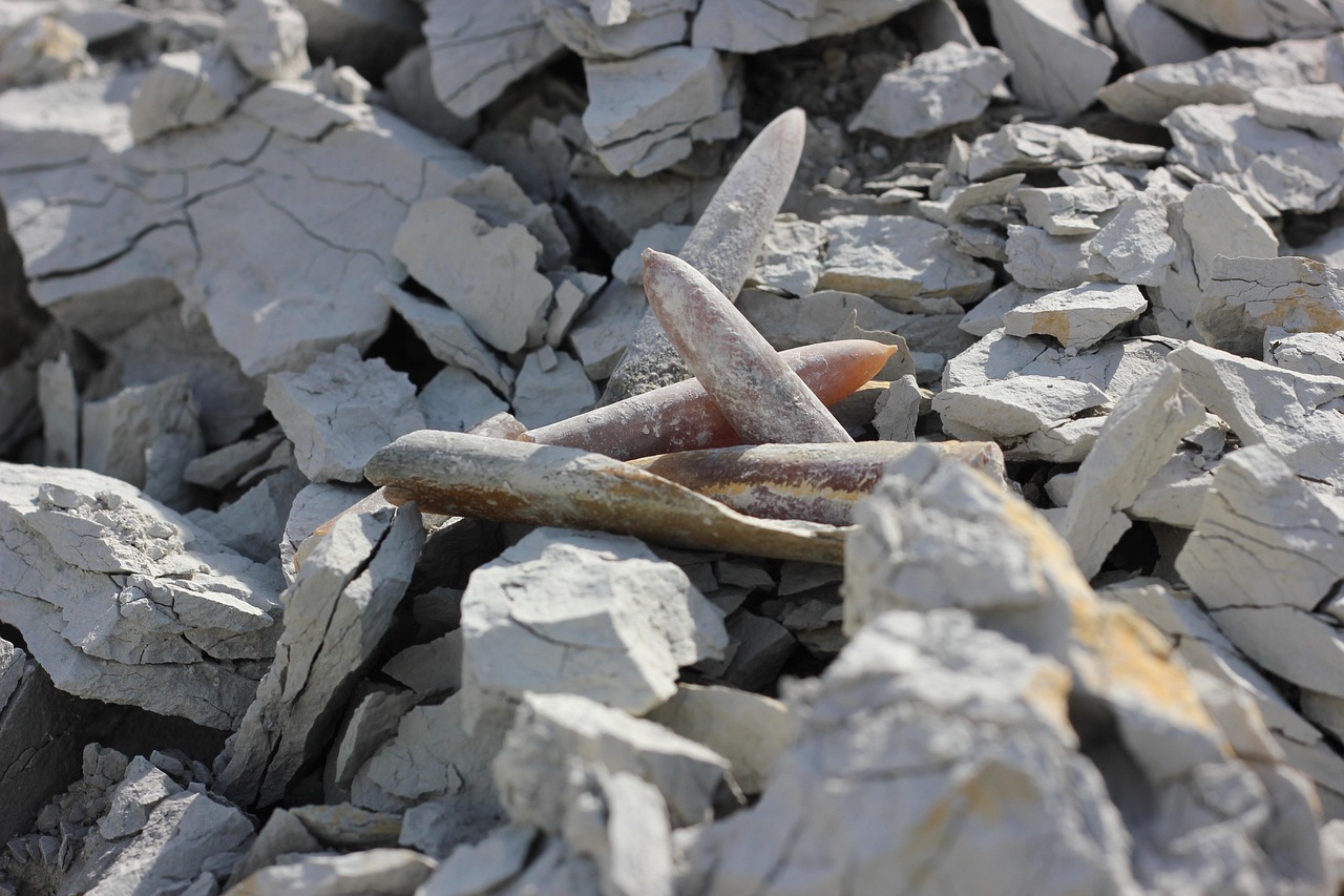 河北赵勇展现新时代风采,最新动态引领担当之路