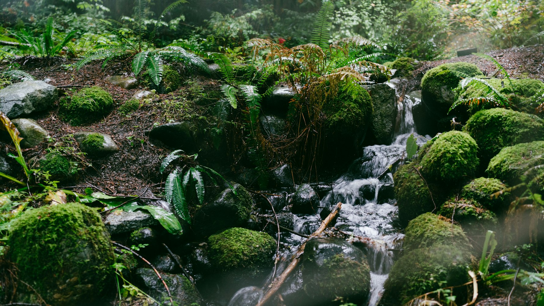 最新法诺资讯，引领法律前沿动态，洞悉信息时代法律变革