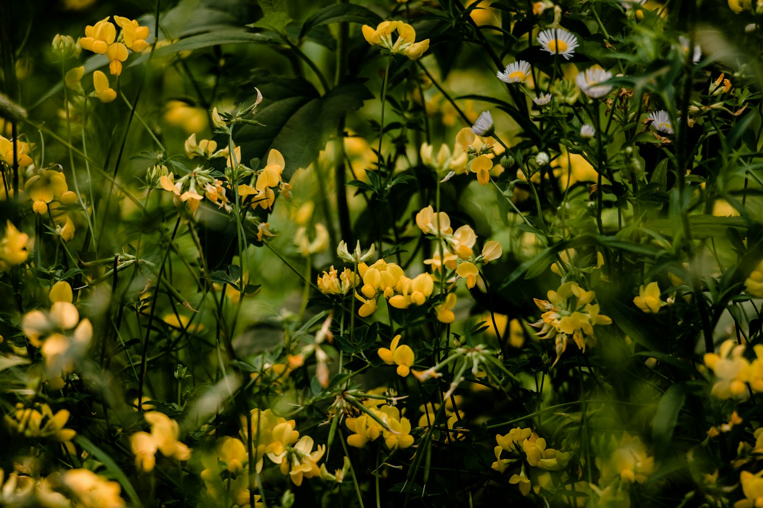 陈杨动态更新，探索个人成长之路与影响力之路