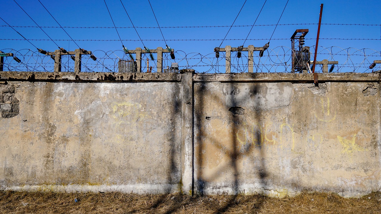 揭秘91投最新动态，引领行业变革的关键力量重磅来袭！