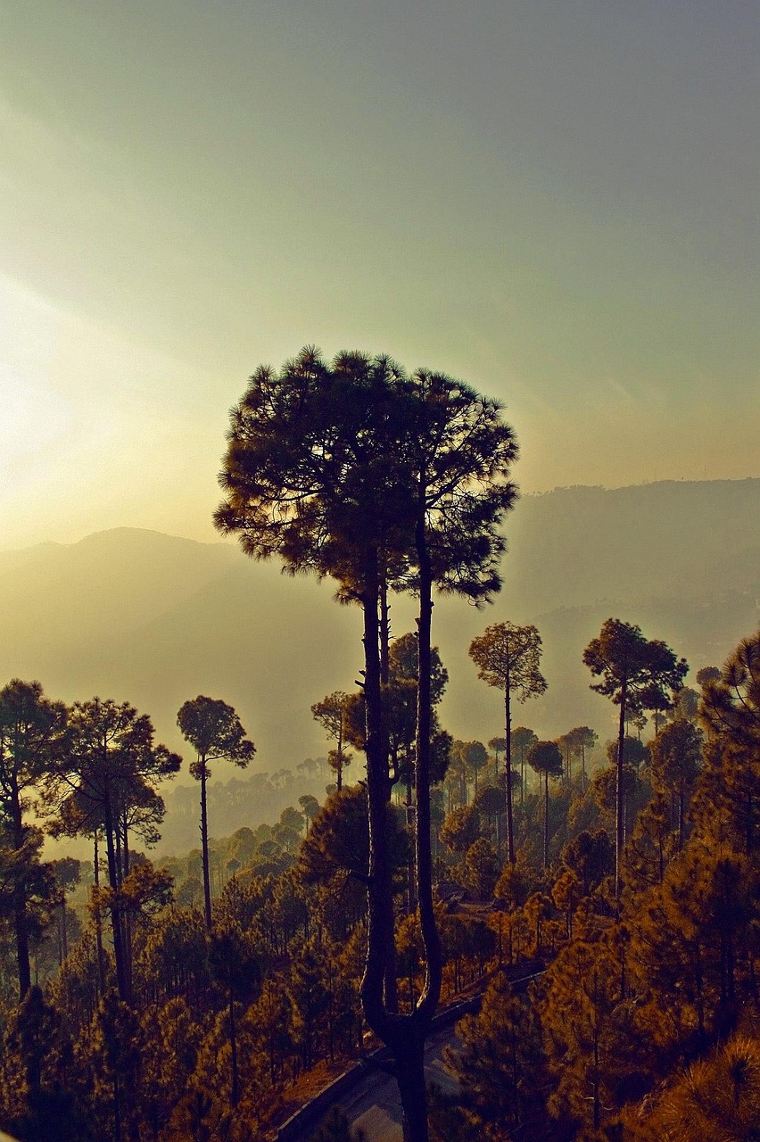 收获的季节电视剧,探寻生活的真实与美好时光