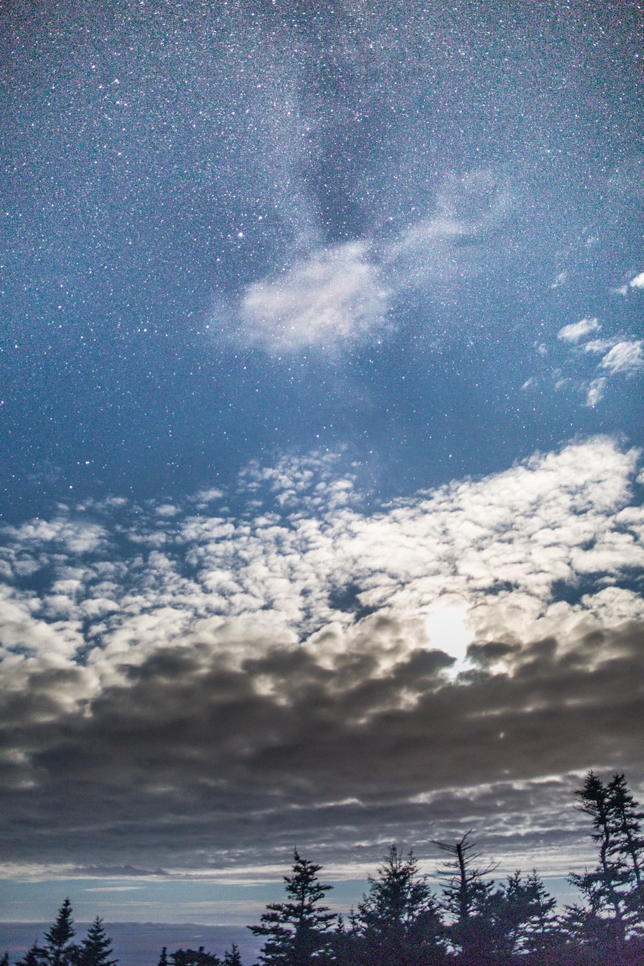 最新摄影技巧探索,现代摄影的艺术与技巧之美