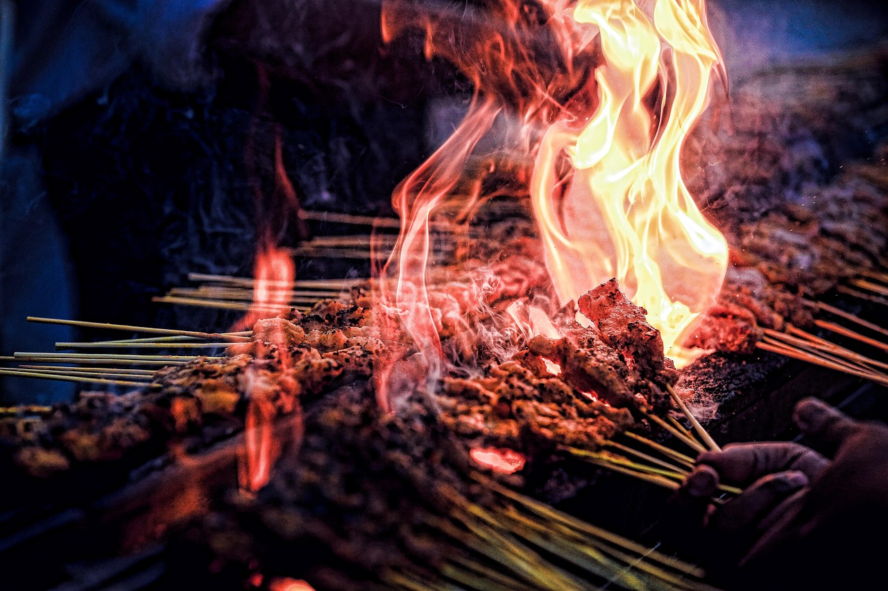 精灵变演员跨界之旅的奇迹